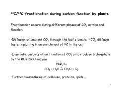 13C/12C fractionation during carbon fixation by plants