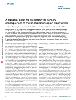 A temporal basis for predicting the sensory consequences of motor