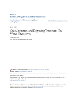 Cruel, Inhuman, and Degrading Treatment: The Words Themselves