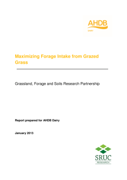 Maximizing Forage Intake from Grazed Grass