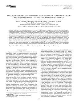 Effects of chronic copper exposure on development and survival in