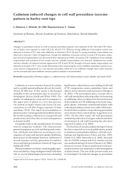 Cadmium induced changes in cell wall peroxidase isozyme pattern
