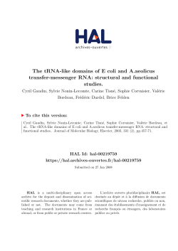 The tRNA-like domains of E coli and A.aeolicus