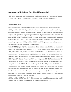 Supplementary Methods and Data (Plasmid