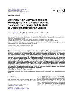 Extremely High Copy Numbers and Polymorphisms of the rDNA