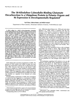 The 58-Kilodalton Calmodulin-Binding Glutamate
