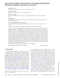 The acoustic field on the forehead of echolocating Atlantic