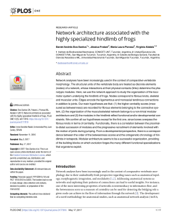 Network architecture associated with the highly specialized hindlimb