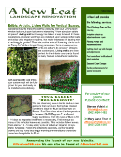 A New Leaf provides the following services: Edible, Artistic, Living