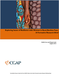 Understanding Resilience Among Households in Rural Burkina