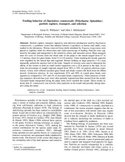 pdf copy - Hofstra