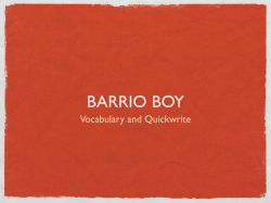 BARRIO BOY
