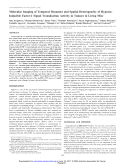 Inducible Factor-1 Signal Transduction Activity in