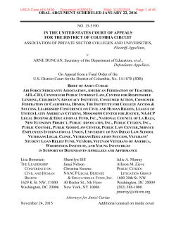 amicus briefs