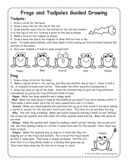 Guided Drawing Frog and Tadpole