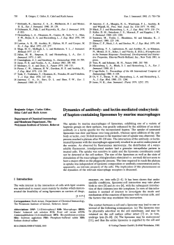 Dynamics of antibody- and lectin-mediated endocytosis of hapten