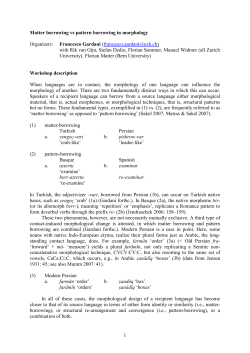 Matter borrowing vs pattern borrowing in morphology