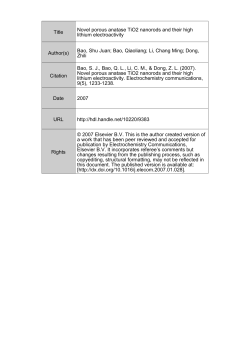Title Novel porous anatase TiO2 nanorods and their high - DR-NTU