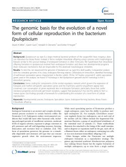 The genomic basis for the evolution of a novel form of cellular
