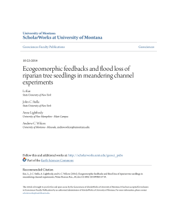 Ecogeomorphic feedbacks and flood loss of riparian tree seedlings