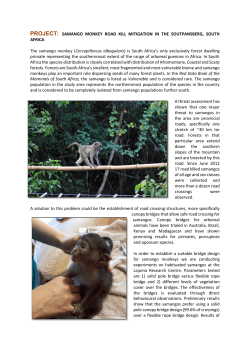 READ MORE - Endangered Wildlife Trust