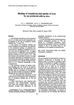 Binding of Transferrin and Uptake of Iron by Rat