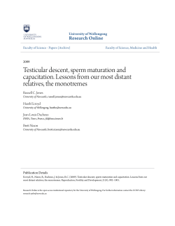 Testicular descent, sperm maturation and - Research Online