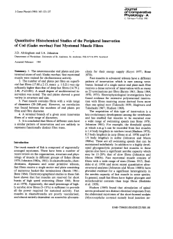 pdf - synergy - University of St Andrews