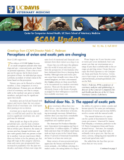 Behind door No. 3: The appeal of exotic pets Perceptions of avian