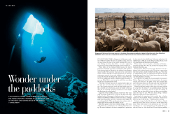 Open as PDF - GRETEL SNEATH Journalist