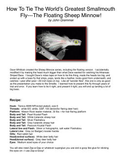 Floating Sheep Minnow__MFS