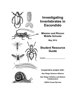 SDCaN_ArthropodStudentGuide MS - San Diego Children and Nature