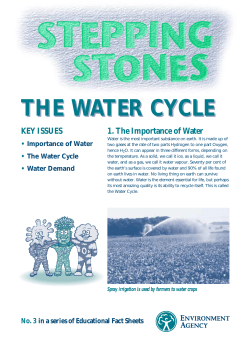 the water cycle