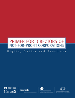 Primer for Directors of Not-for-Profit Corporations
