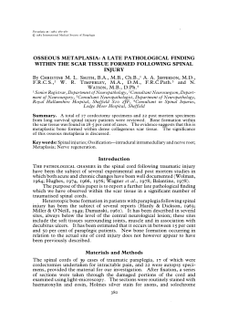 Osseous metaplasia: a late pathological finding within the