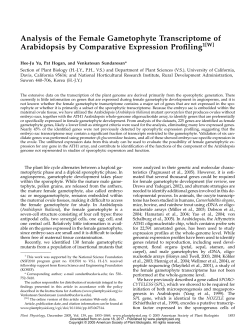 Analysis of the Female Gametophyte