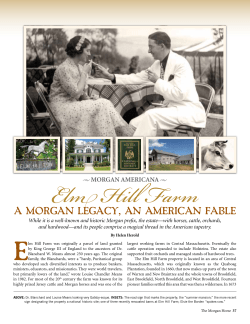 Elm Hill Farm - American Morgan Horse Association