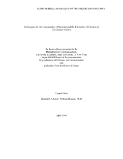 Techniques for the Construction of Meaning and the Elicitation of