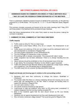 Amy St PP Summary of public meeting comments