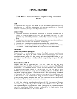 Livestock Guardian Dog/Wild Dog Interaction