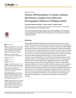 Genetic Differentiation in Insular Lowland Rainforests: Insights from