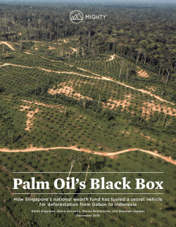 Palm Oil`s Black Box