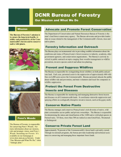 Bureau of Forestry