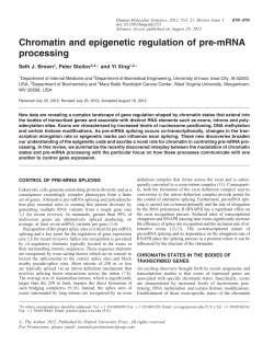 Chromatin and epigenetic regulation of pre