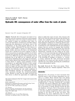 Hydraulic lift: consequences of water ef&macr;ux from the roots of plants