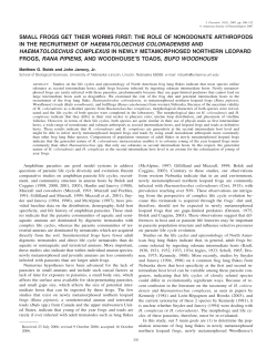 small frogs get their worms first: the role of nonodonate