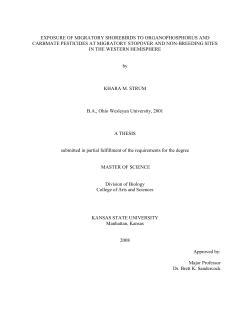exposure of migratory shorebirds to organophosphorus and