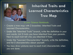 Create a tree map with 2 branches