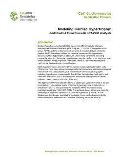 Modeling Cardiac Hypertrophy: Endothelin-1