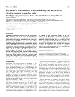 Asymmetric production of surface-dividing and non